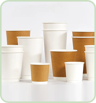 Année 11