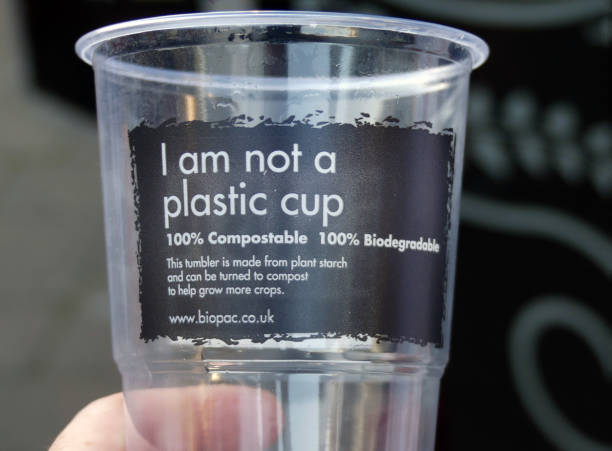 Sustainable solutions for food packaging: Say goodbye to plastic with biodegradable alternatives