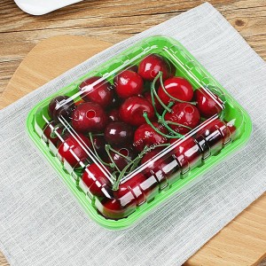 Transparent Plastic Food Box For Fruits And Salads With Lids