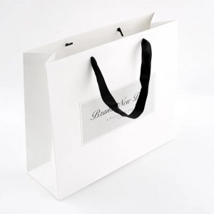 Custom Printed Shopping Paper Bags With Handles