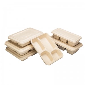 Disposable & Eco-Friendly Degradable Pulp Lunch Box