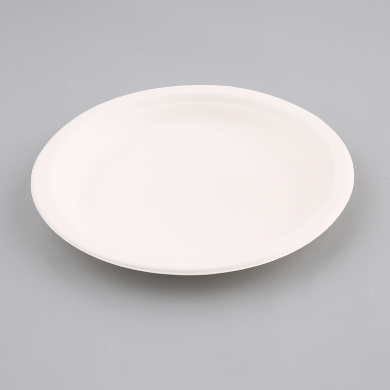 Eco-friendly paper plate