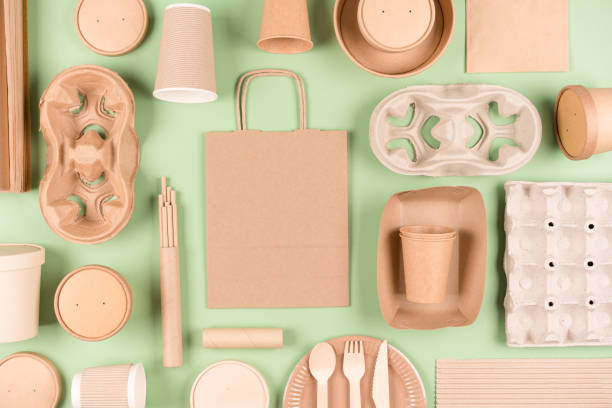 Boost your Fast Food Business with GFP’s New Wholesale Packaging Solutions