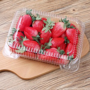 Transparent Plastic Food Box For Fruits And Salads With Lids