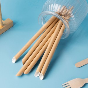 Diagonal Cut Sharp Ending Biodegradable  Paper Straws