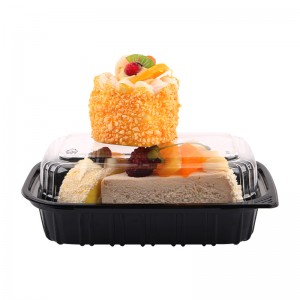 Custom Bento Lunch Boxes with Lid
