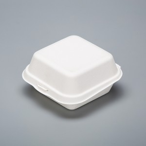 Compostable Bagasse Lunch Box With Compartments  Wholesale