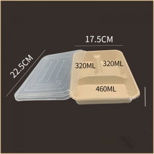 Disposable & Eco-Friendly Degradable Pulp Lunch Box