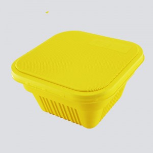 Disposable Double-layer Plastic Lunch Boxes wholesale