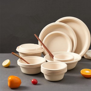 Eco-friendly & Disposable Pulp Bowl Bento Box Containers