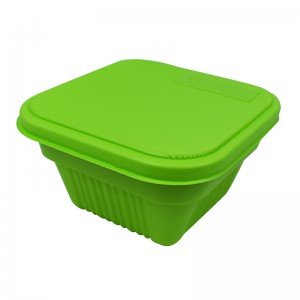 Disposable Double-layer Plastic Lunch Boxes wholesale