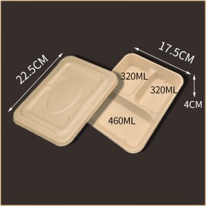 Disposable & Eco-Friendly Degradable Pulp Lunch Box