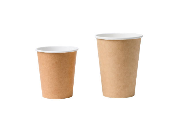 The Reason Why Disposable Paper Cups Do Not Absorb Water