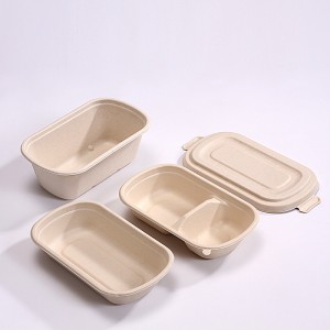 Compostable Bagasse Lunch Box With Compartments  Wholesale