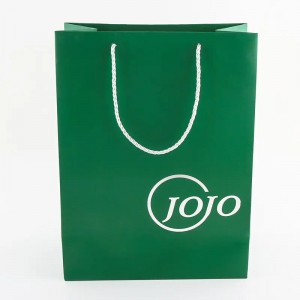Custom Luxury Shopping Paper Bag with Handle
